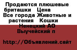 Продаются плюшевые бриташки › Цена ­ 2 500 - Все города Животные и растения » Кошки   . Ненецкий АО,Выучейский п.